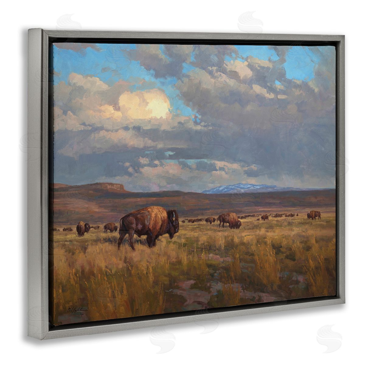 Chad Poppleton Buffalo Cloudy Landscape Gray Floater Frame Canvas Artside_