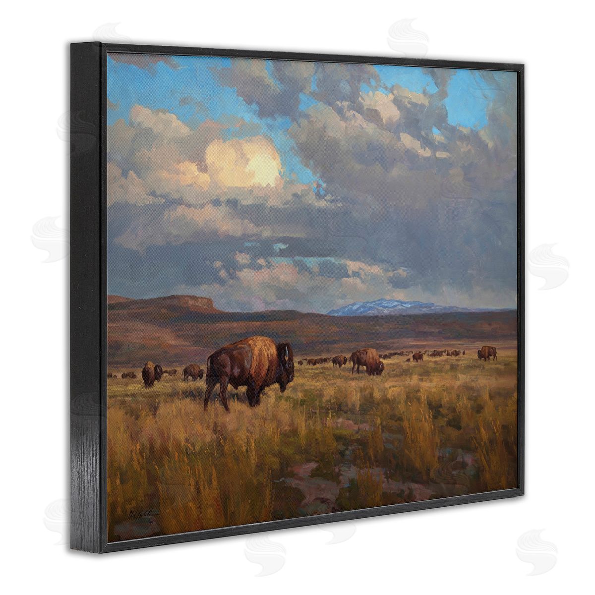 Chad Poppleton Buffalo Cloudy Landscape Black Framed Giclee Wall Artside_