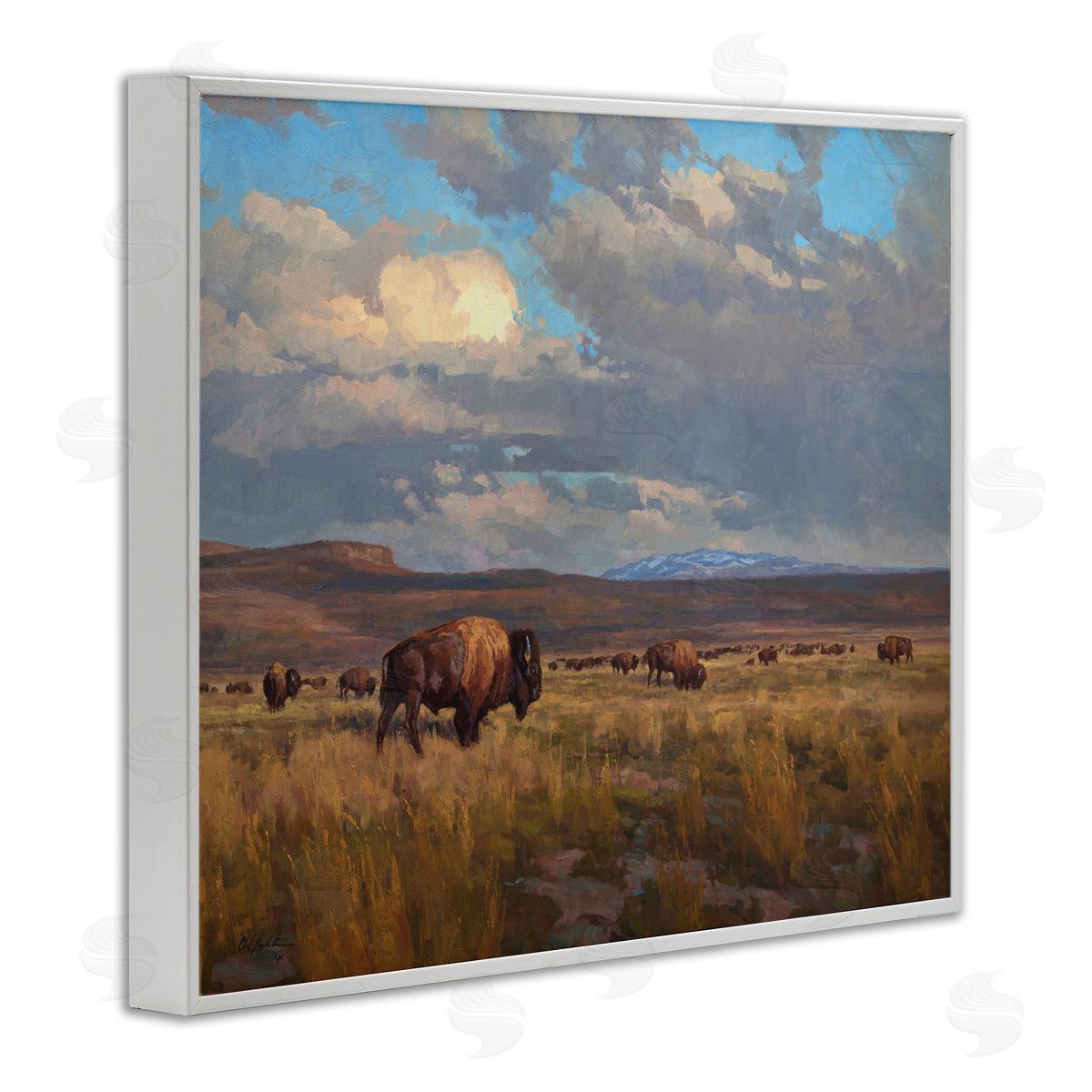 Chad Poppleton Buffalo Cloudy Landscape White Framed Giclee Wall Artside_