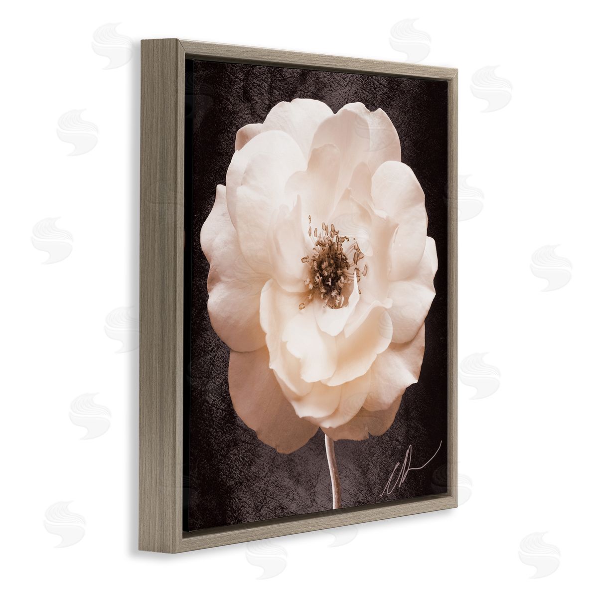 Christine Zalewski Pink Flower Photography Brown Floater Frame Canvas Artside_