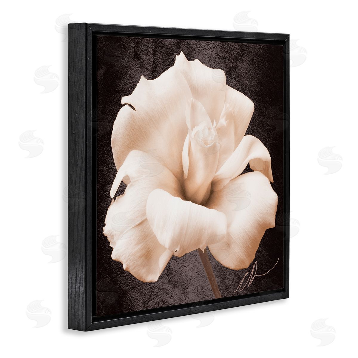Christine Zalewski Rose Petal Photography Black Floater Frame Canvas Artside_