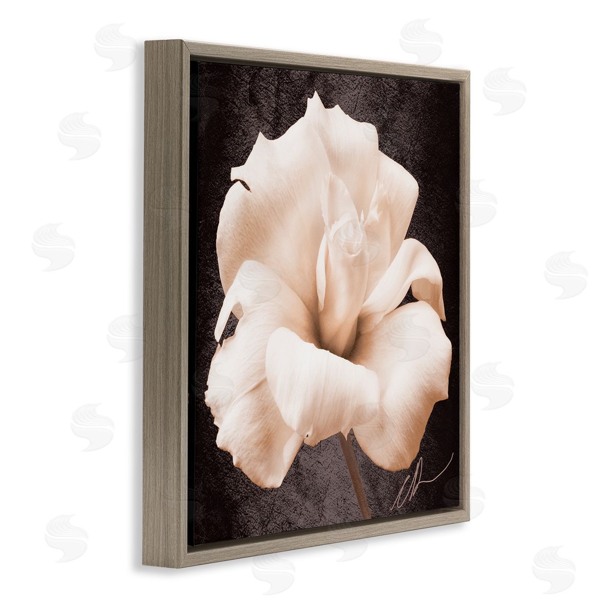 Christine Zalewski Rose Petal Photography Brown Floater Frame Canvas Artside_