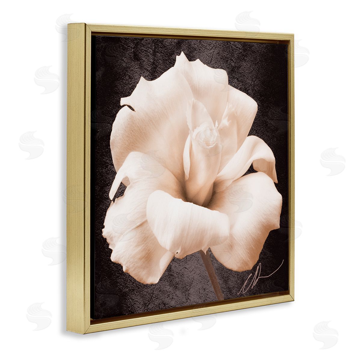 Christine Zalewski Rose Petal Photography Gold Floater Frame Canvas Artside_