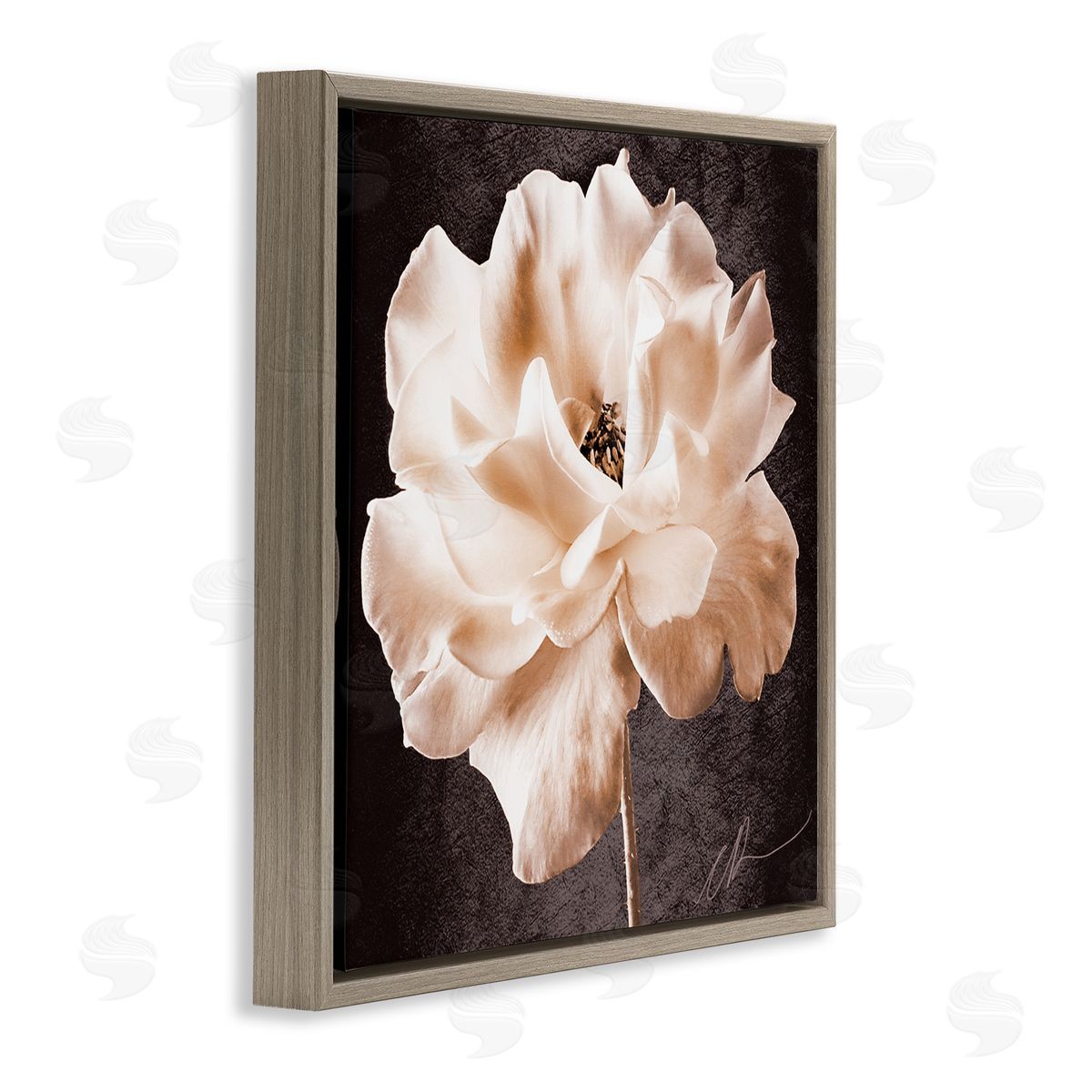 Christine Zalewski Vintage Rose Photography Brown Floater Frame Canvas Artside_