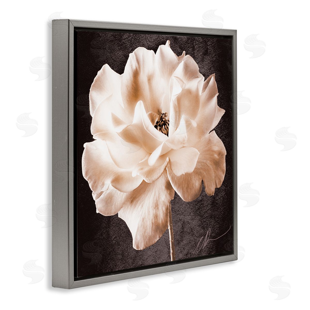 Christine Zalewski Vintage Rose Photography Gray Floater Frame Canvas Artside_