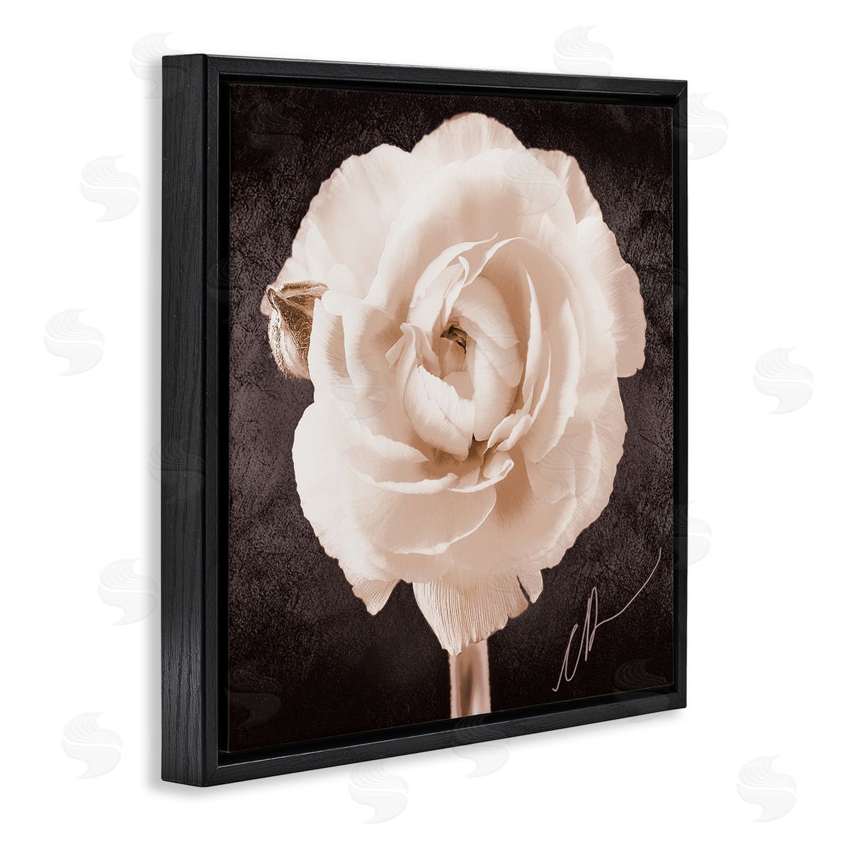 Christine Zalewski Vintage Rose Bloom Black Floater Frame Canvas Artside_