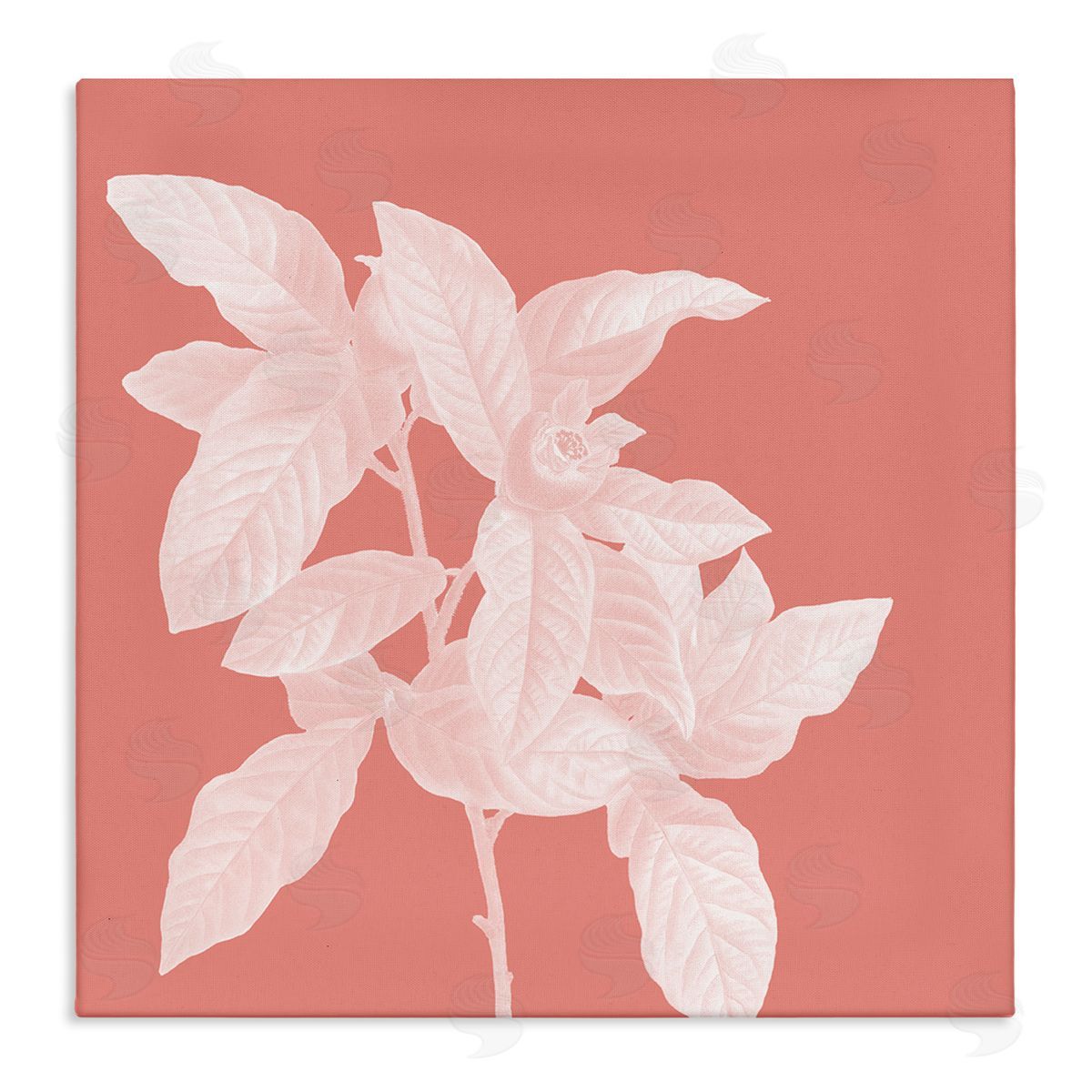 Andrea Haase Pink & White Botanical Canvas Wall Art