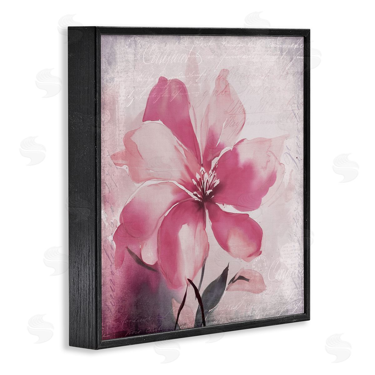 Andrea Haase Vintage Pink Lily Black Framed Giclee Wall Artside_