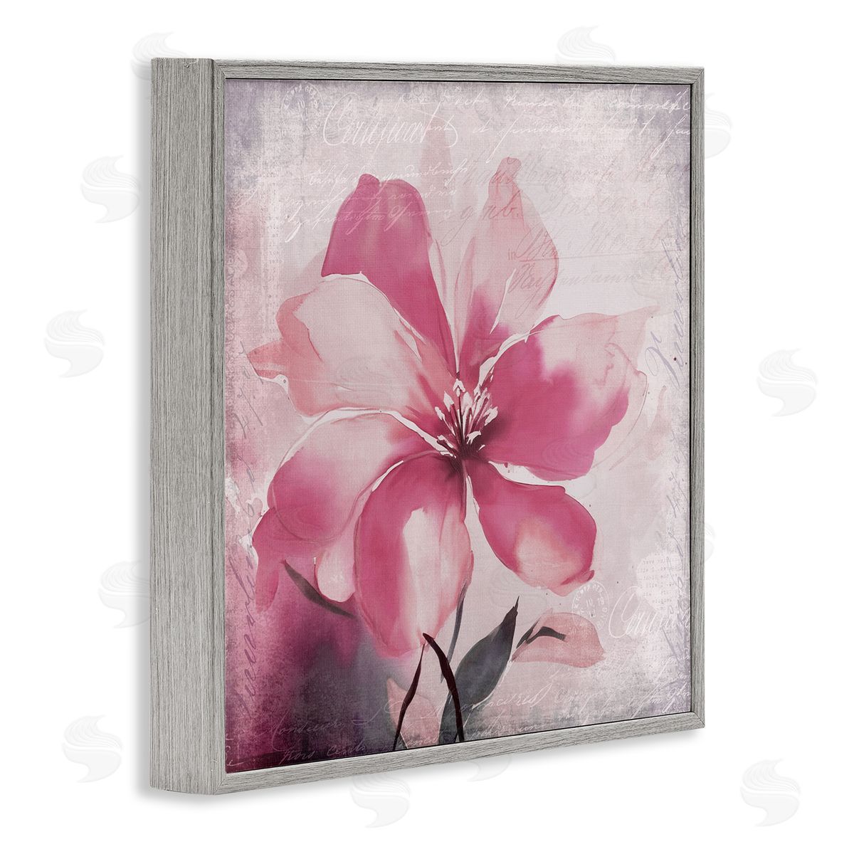 Andrea Haase Vintage Pink Lily Gray Framed Giclee Wall Artside_