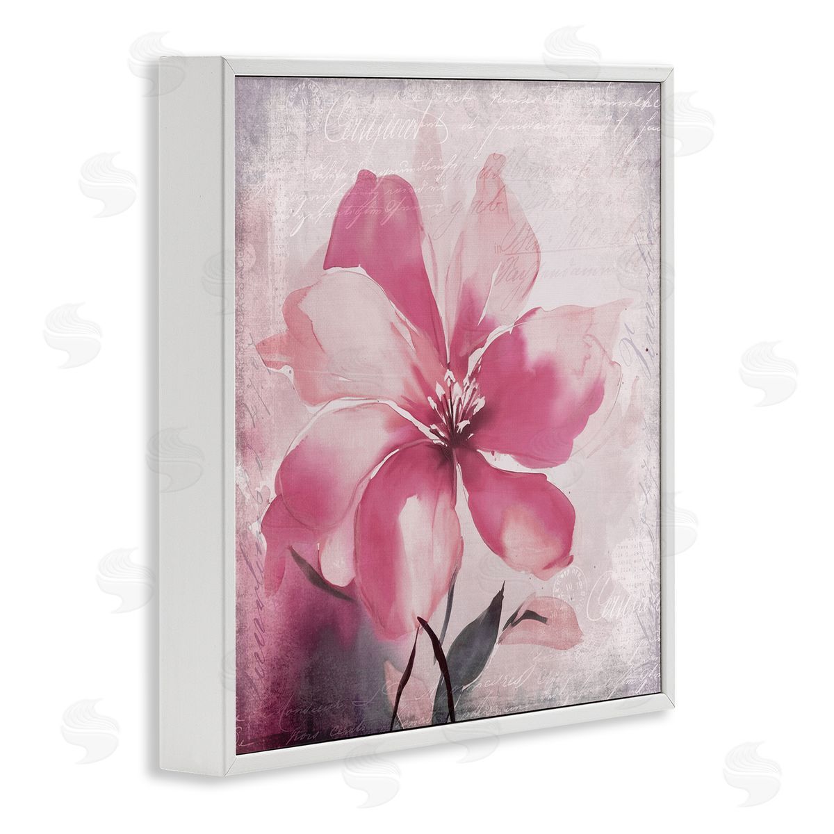 Andrea Haase Vintage Pink Lily White Framed Giclee Wall Artside_