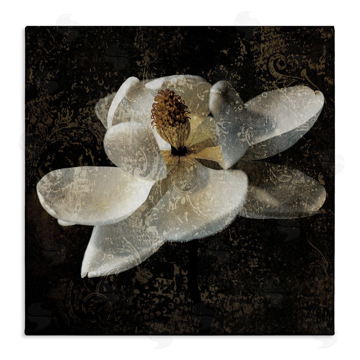 John Seba Rustic Magnolia Flower Canvas Wall Art