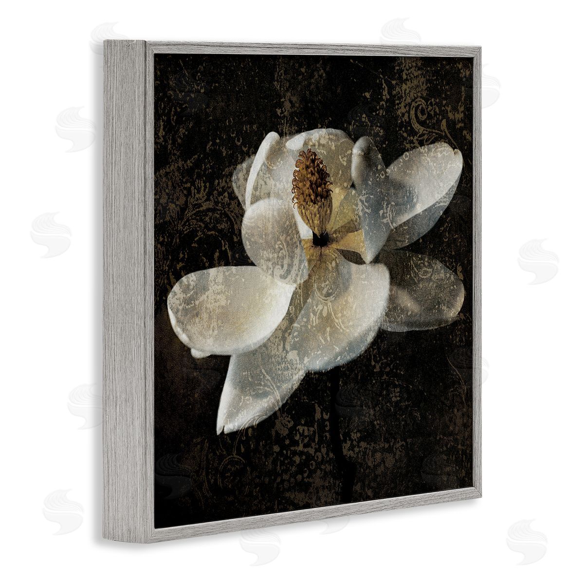 John Seba Rustic Magnolia Flower Gray Framed Giclee Wall Artside_