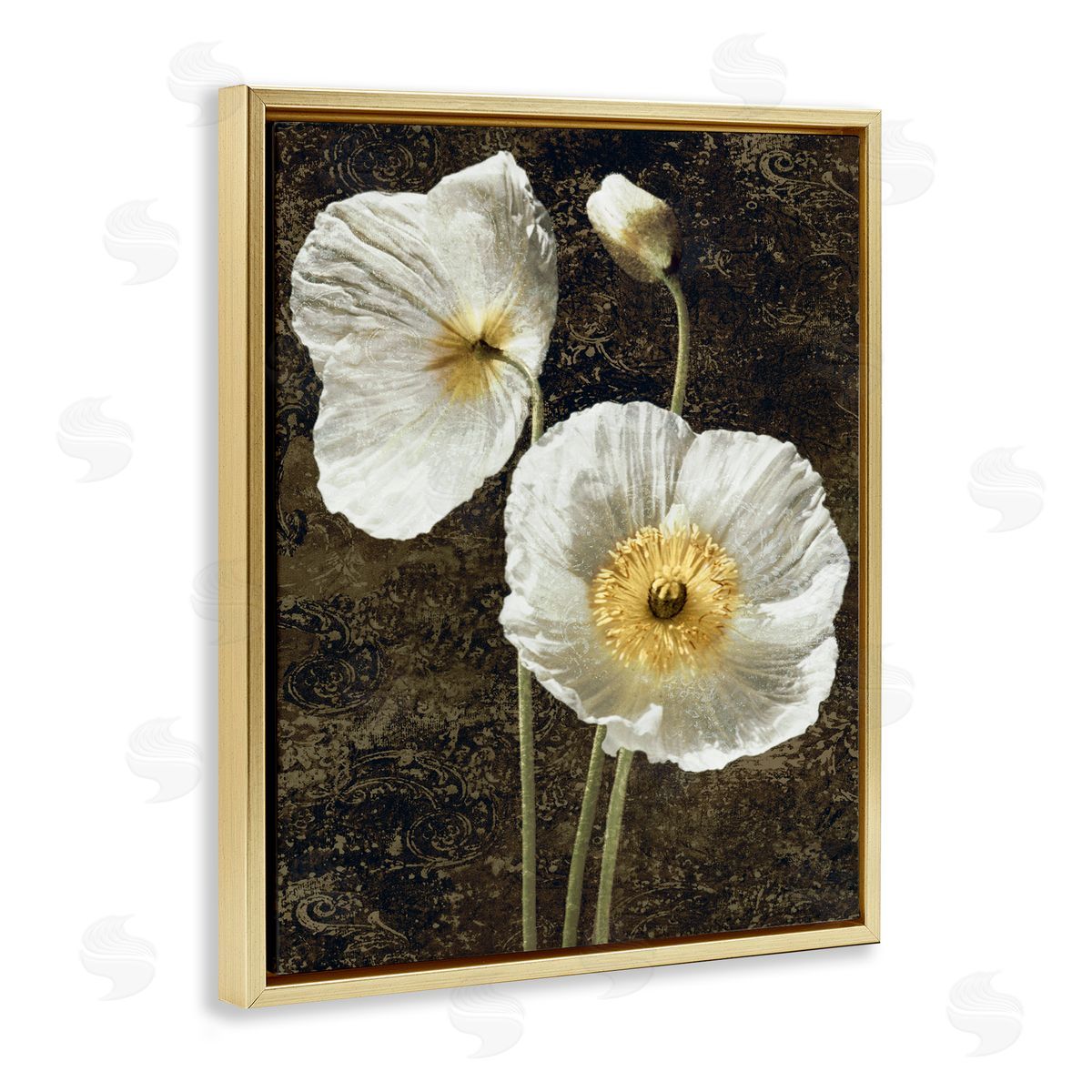 John Seba Budding White Poppies Gold Floater Frame Canvas Artside_