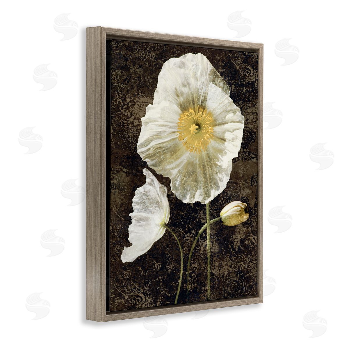 John Seba Rustic White Poppies Brown Floater Frame Canvas Artside_