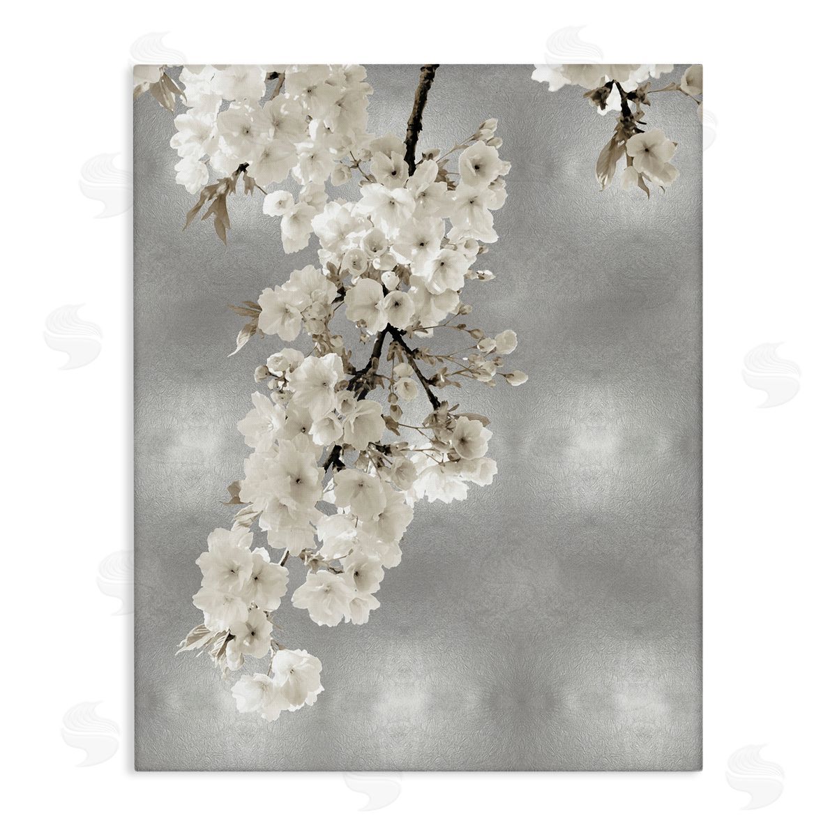 Kate Bennett Cherry Blossoms on Grey Canvas Wall Art
