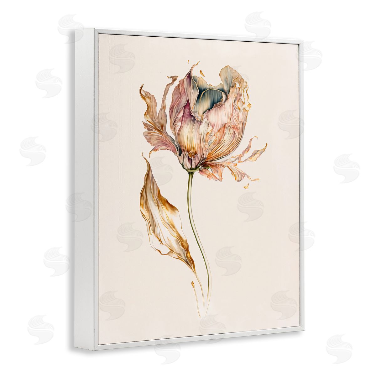 Leah McLean Vintage Tulip Petals White Framed Giclee Wall Artside_