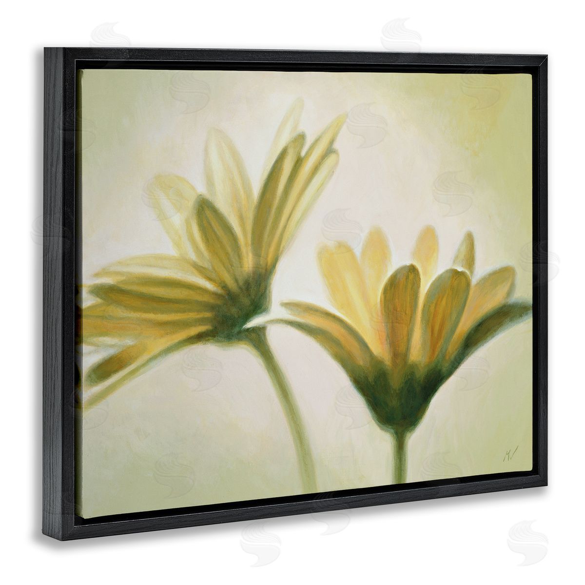 Massimo Valli Two Daisies Painting Black Floater Frame Canvas Artside_