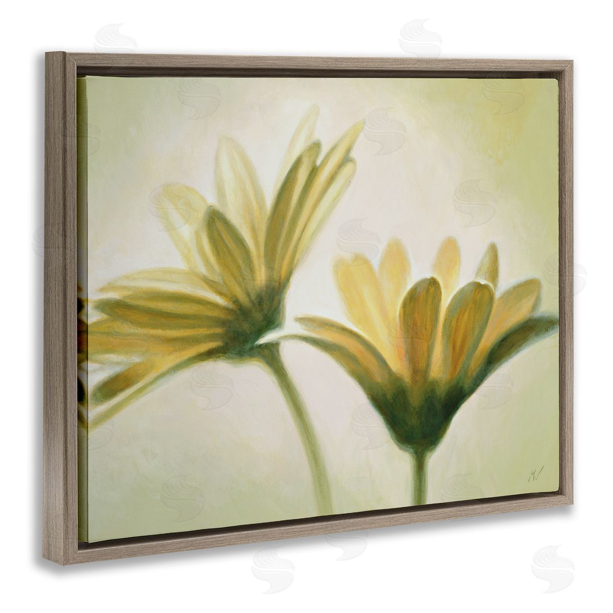 Massimo Valli Two Daisies Painting Brown Floater Frame Canvas Artside_