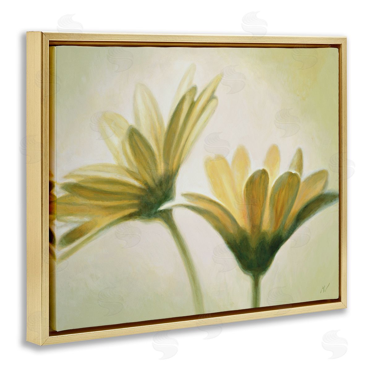 Massimo Valli Two Daisies Painting Gold Floater Frame Canvas Artside_