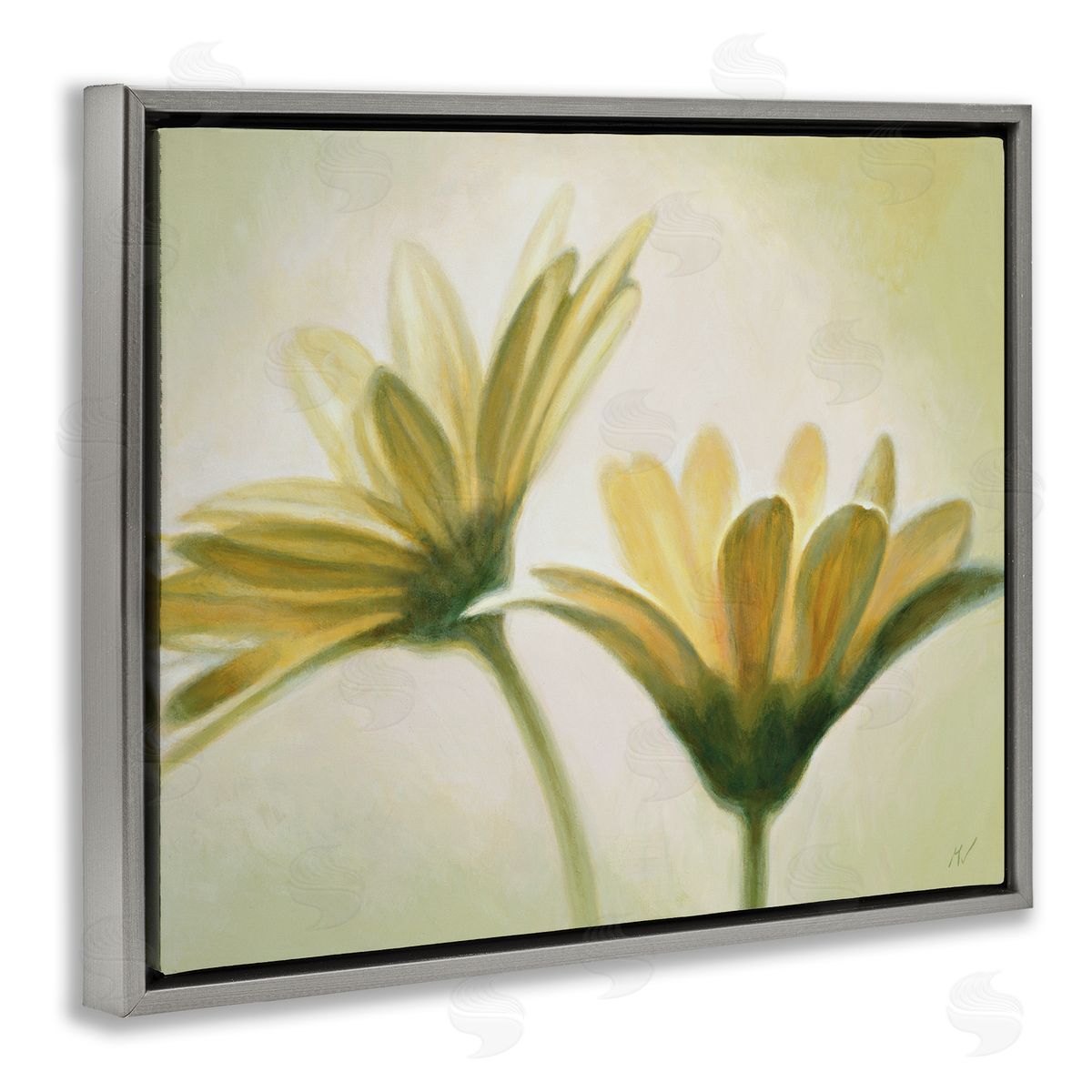 Massimo Valli Two Daisies Painting Gray Floater Frame Canvas Artside_