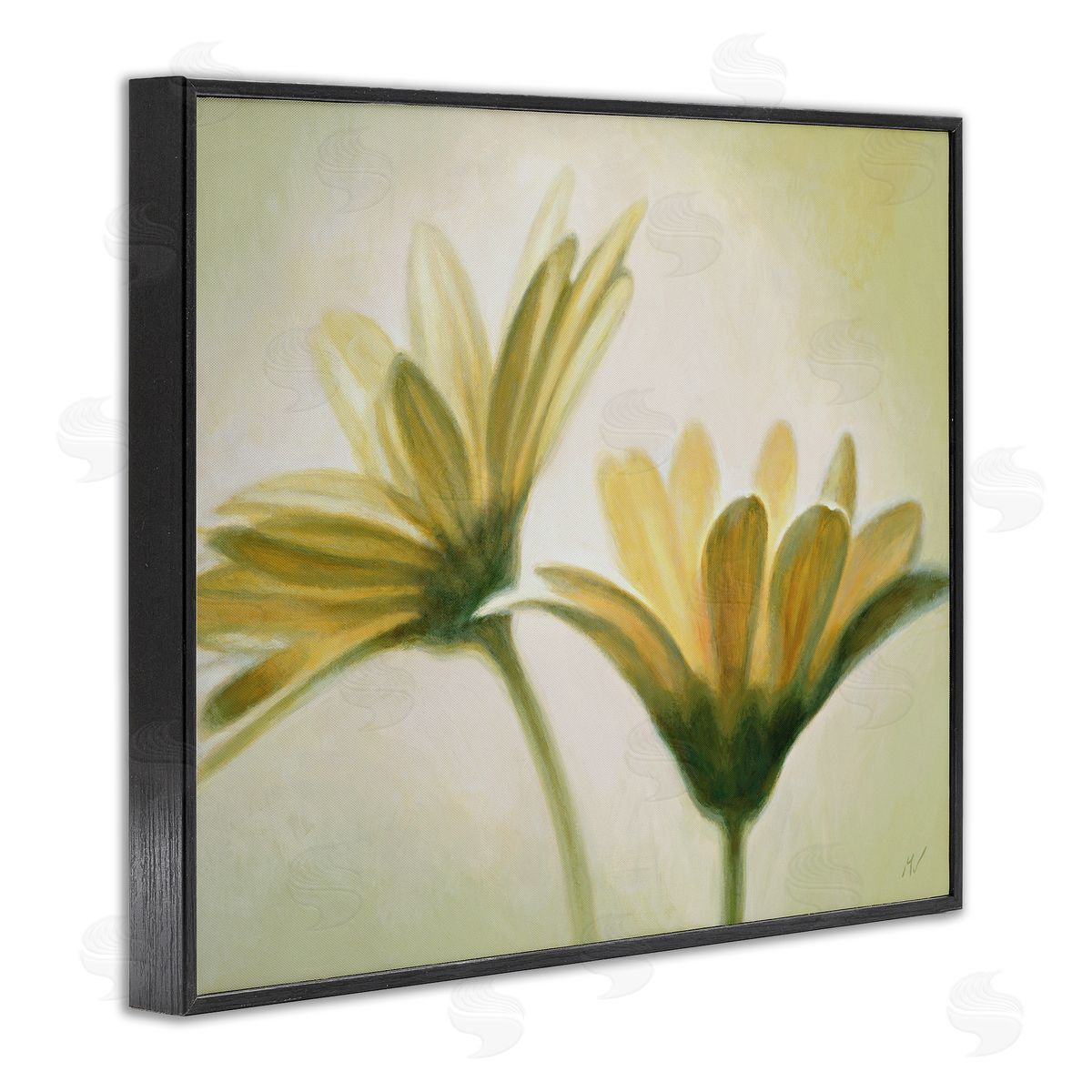 Massimo Valli Two Daisies Painting Black Framed Giclee Wall Artside_