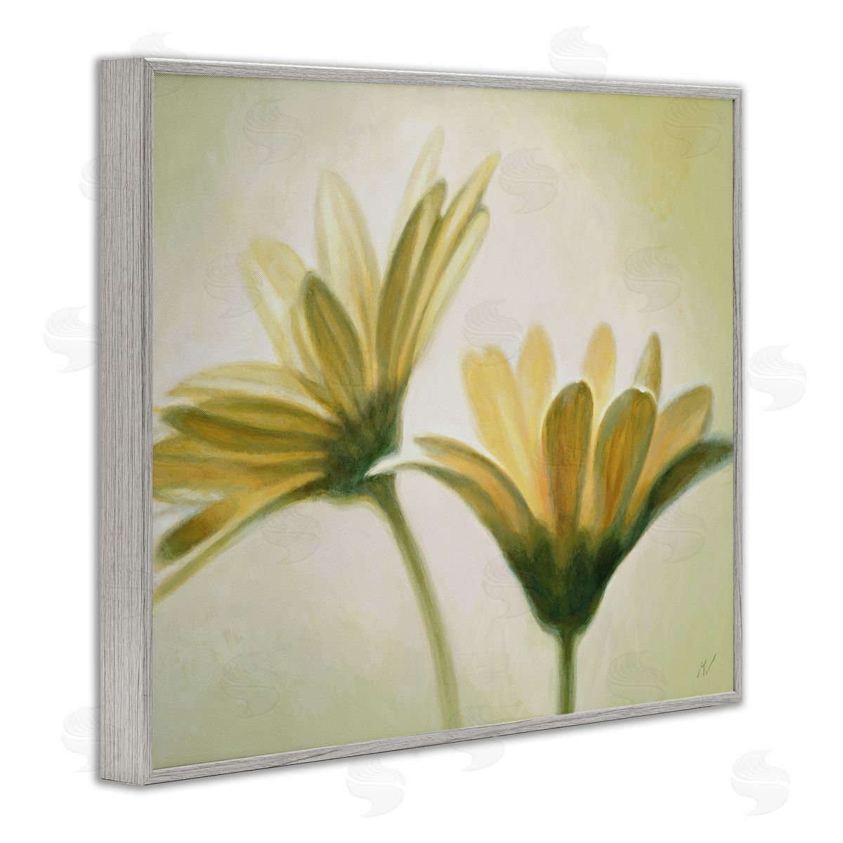 Massimo Valli Two Daisies Painting Gray Framed Giclee Wall Artside_