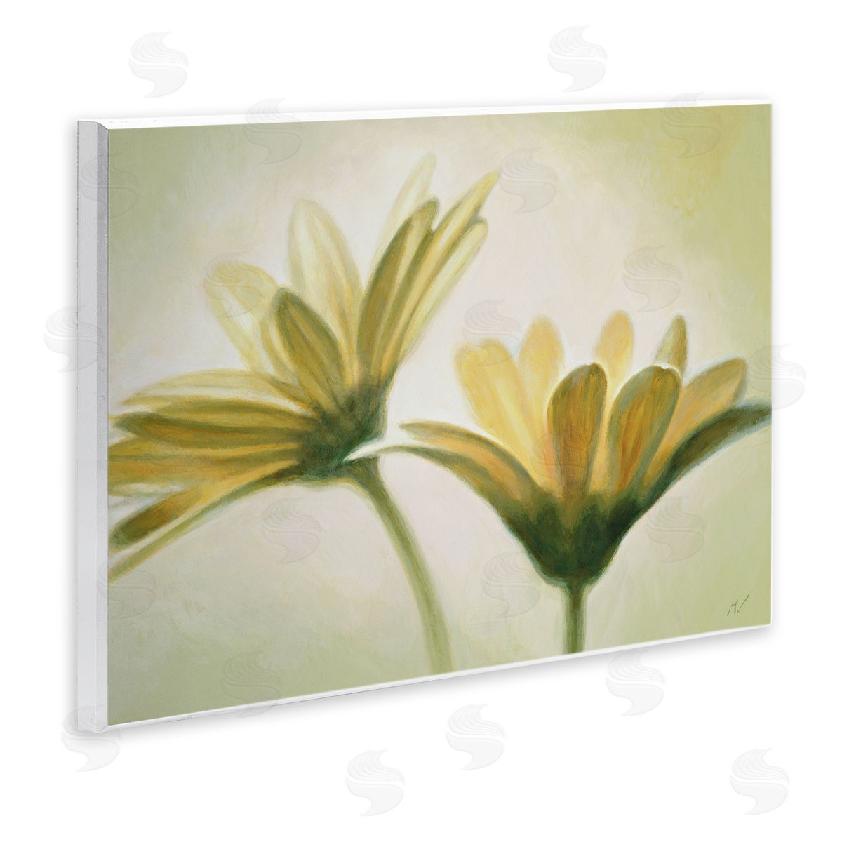 Massimo Valli Two Daisies Painting Wall Plaque Artside_