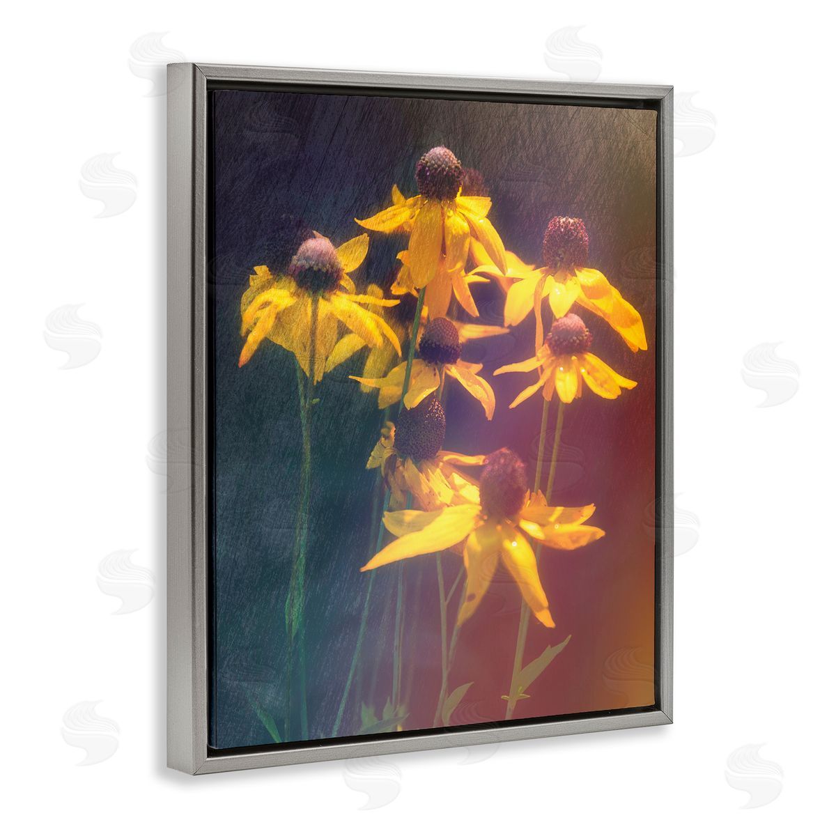 Daniel Sproul Black-Eyed Susan Photography Gray Floater Frame Canvas Artside_