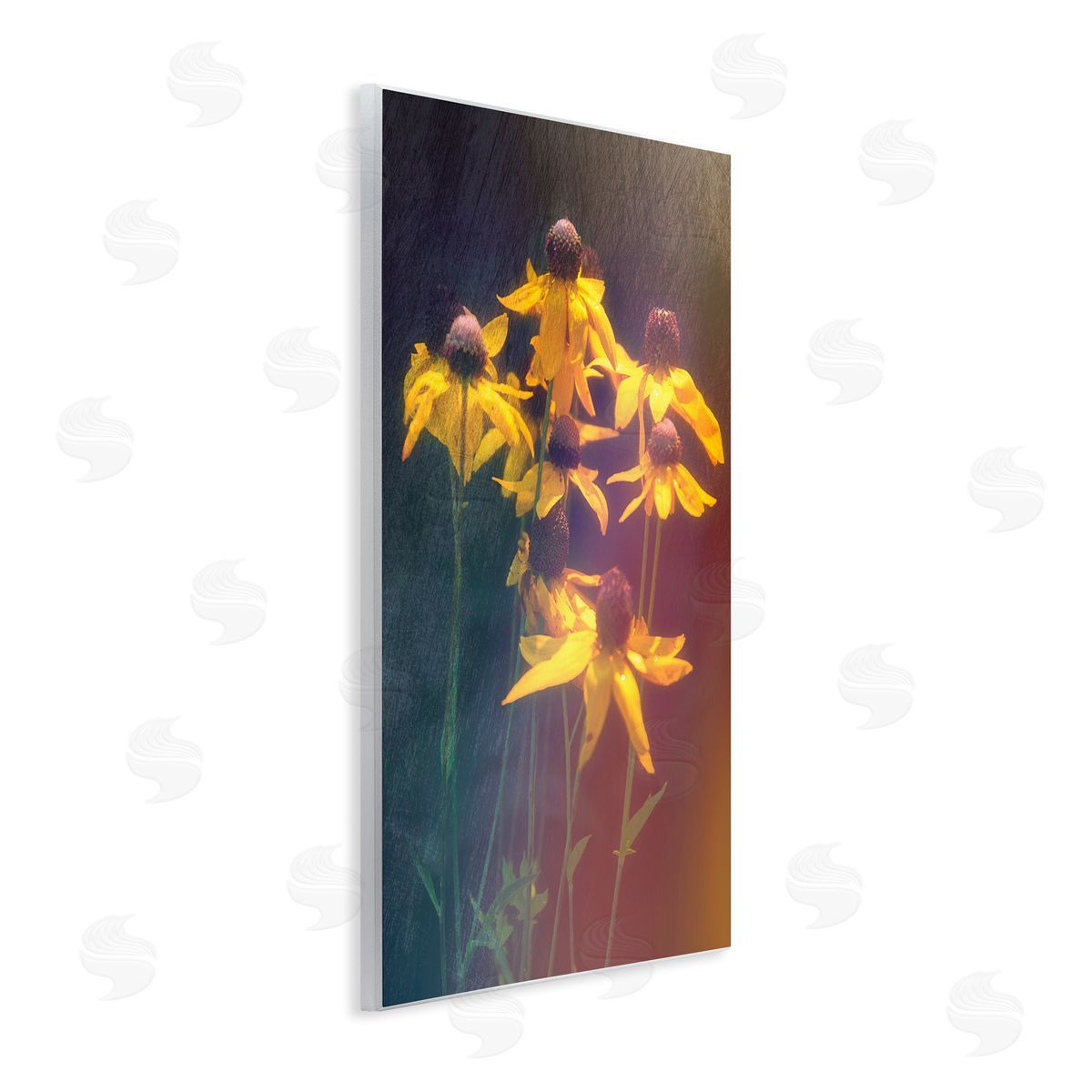 Daniel Sproul Black-Eyed Susan Photography Wall Plaque Artside_