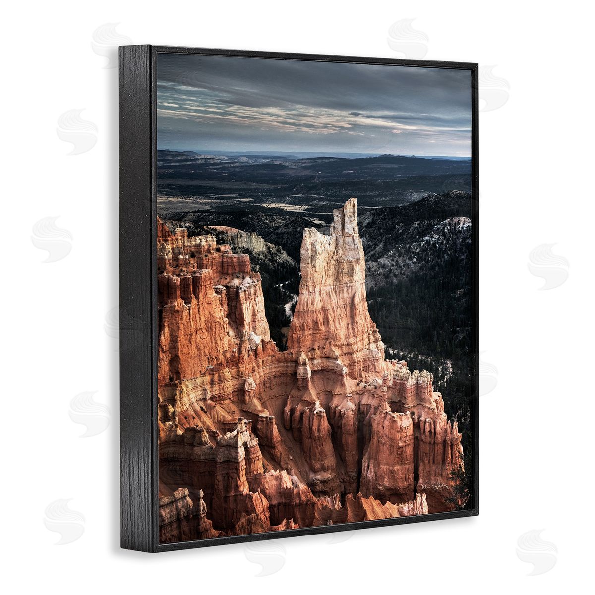 Alan Majchrowicz Canyon Butte Photography Black Framed Giclee Wall Artside_