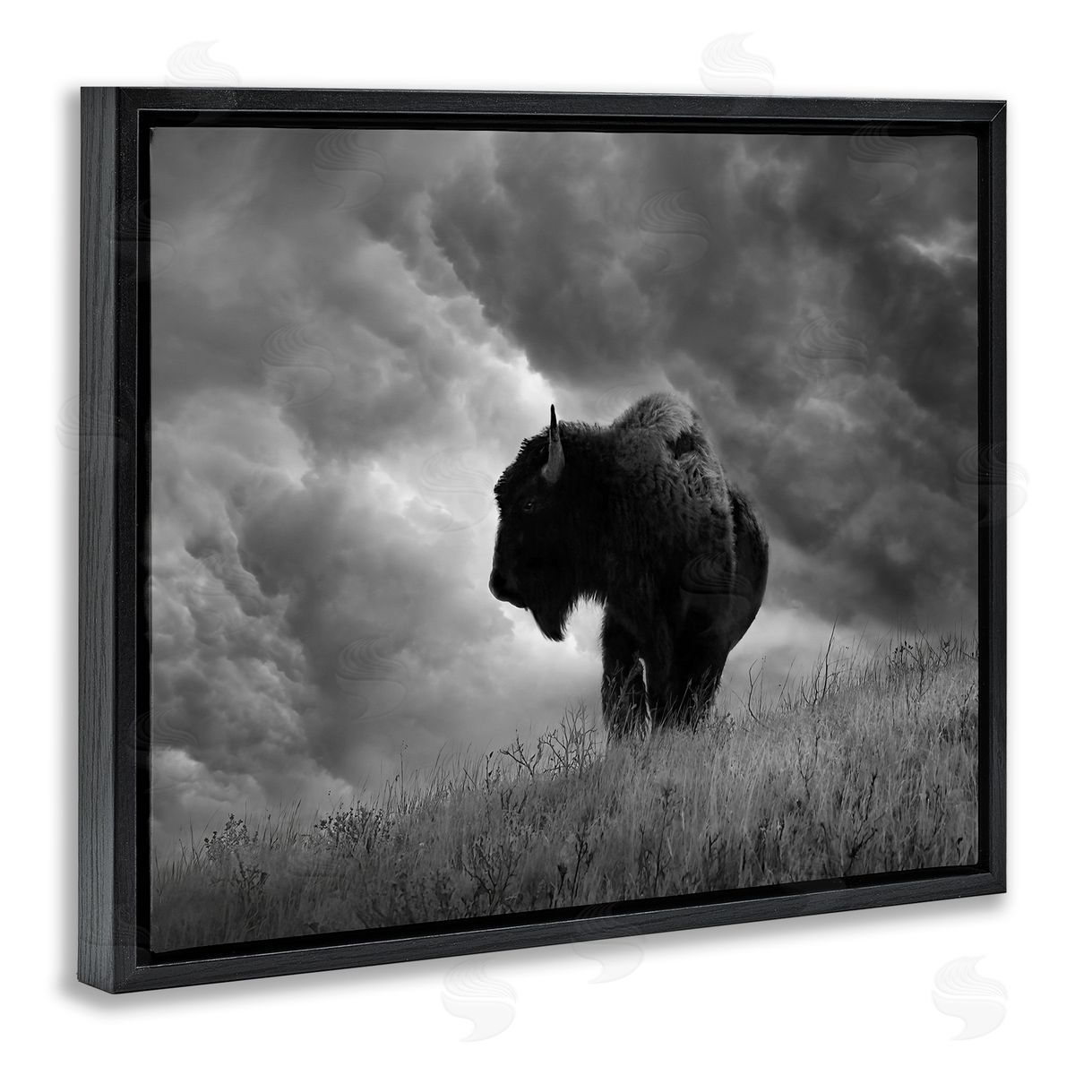 Steve Toole Ox in Cloudy Landscape Black Floater Frame Canvas Artside_