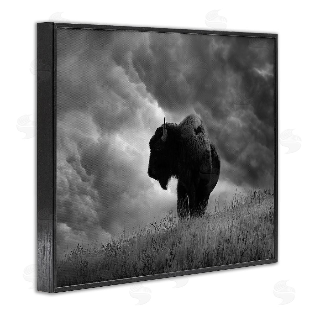 Steve Toole Ox in Cloudy Landscape Black Framed Giclee Wall Artside_