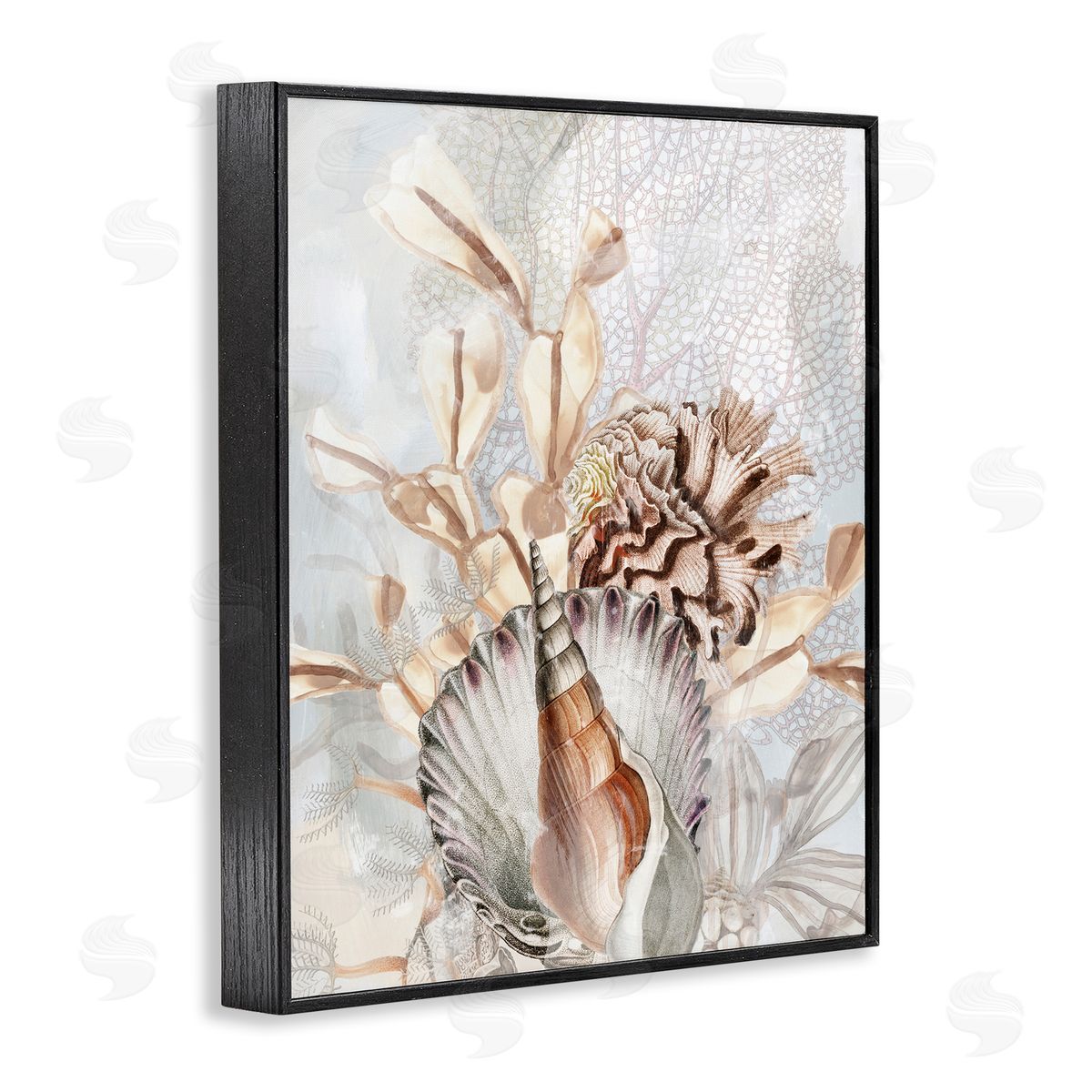June Erica Vess Various Beige Sea Life Black Framed Giclee Wall Artside_