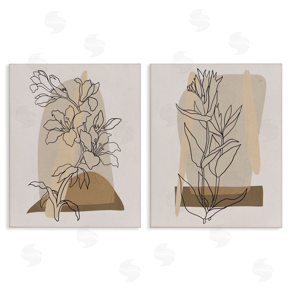 Regina Moore Natural Flower Outlines Canvas Wall Art Print