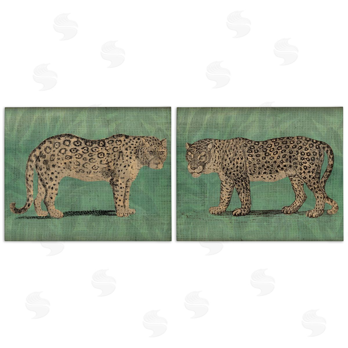 June Erica Vess Stunned Jaguar Hunting  Canvas Wall Art Print