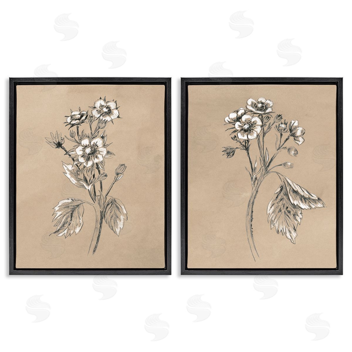 June Erica Vess Vintage Sketch Botanical Black Floating Frame Canvas Wall Art Print