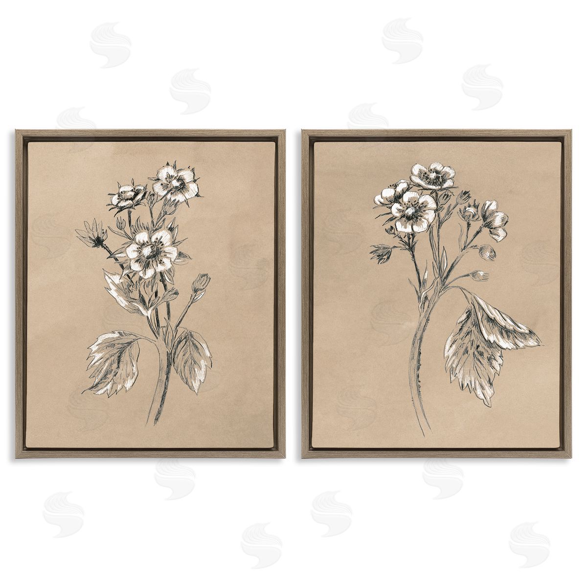 June Erica Vess Vintage Sketch Botanical Brown Floating Frame Canvas Wall Art Print