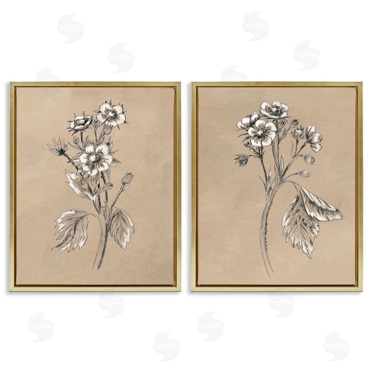 June Erica Vess Vintage Sketch Botanical Gold Floating Frame Canvas Wall Art Print