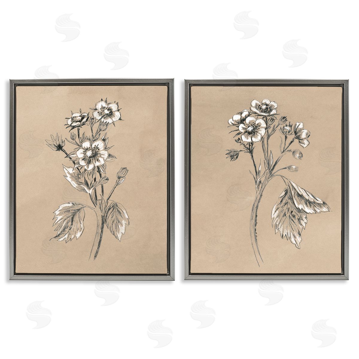 June Erica Vess Vintage Sketch Botanical Gray Floating Frame Canvas Wall Art Print