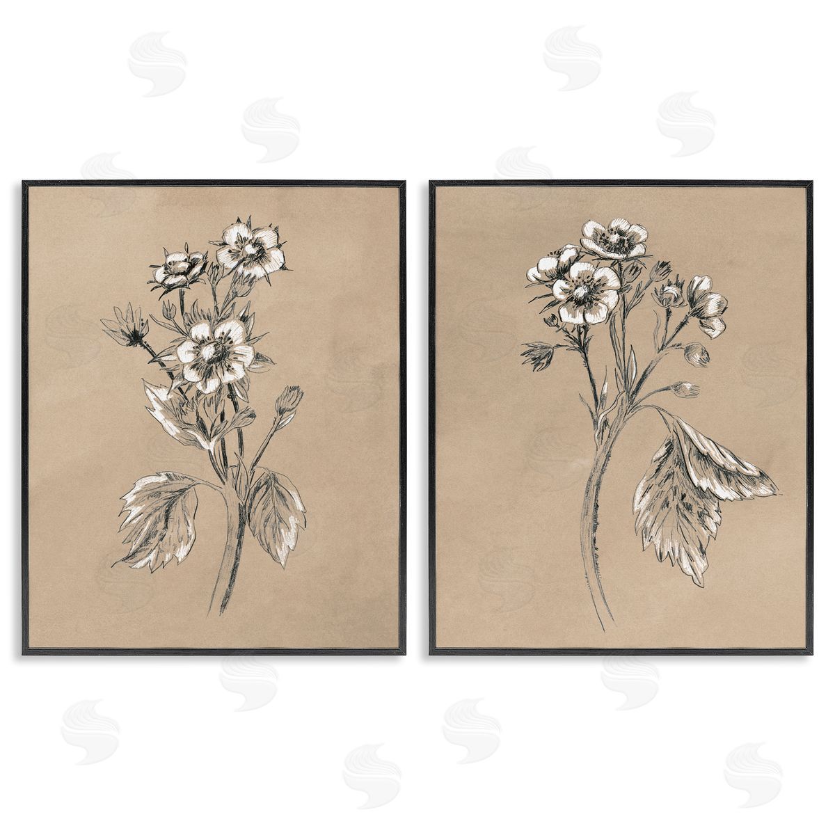 June Erica Vess Vintage Sketch Botanical Black Framed Giclee Wall Art Print