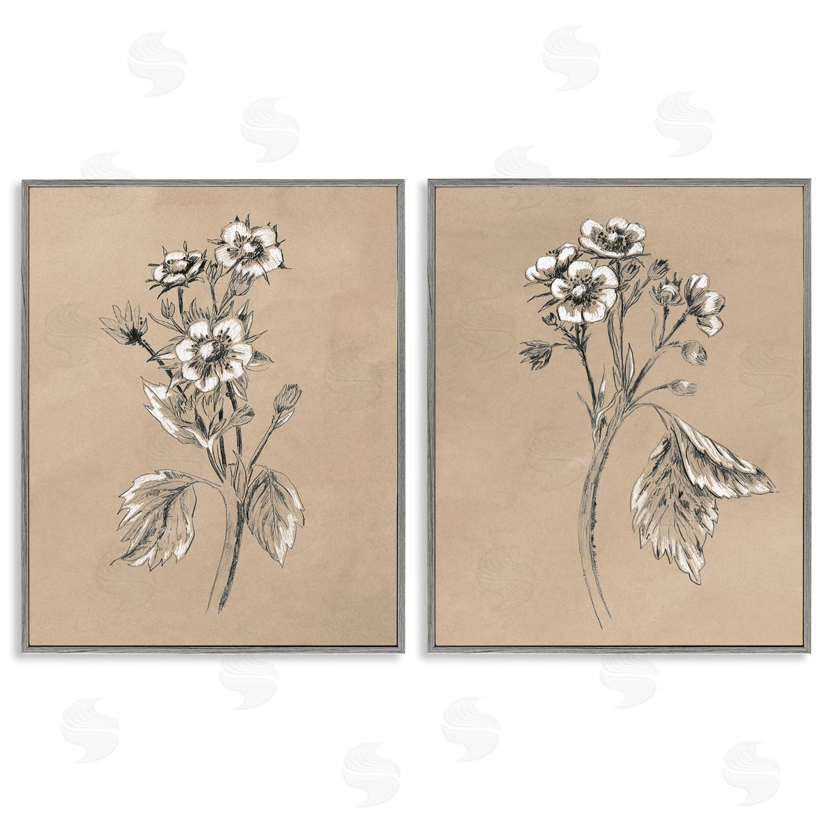June Erica Vess Vintage Sketch Botanical Gray Framed Giclee Wall Art Print
