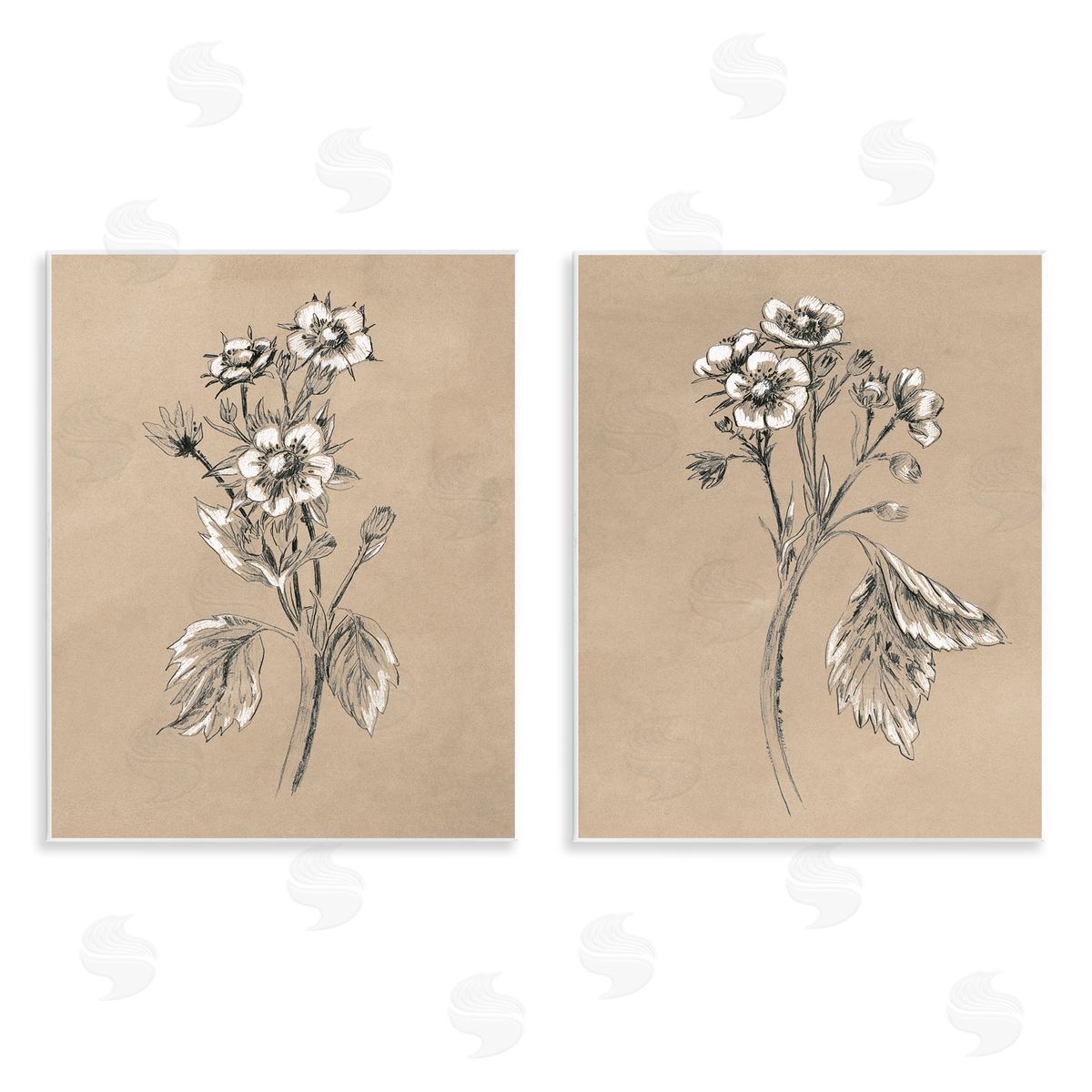 June Erica Vess Vintage Sketch Botanical Wooden Wall Plaque Art Print