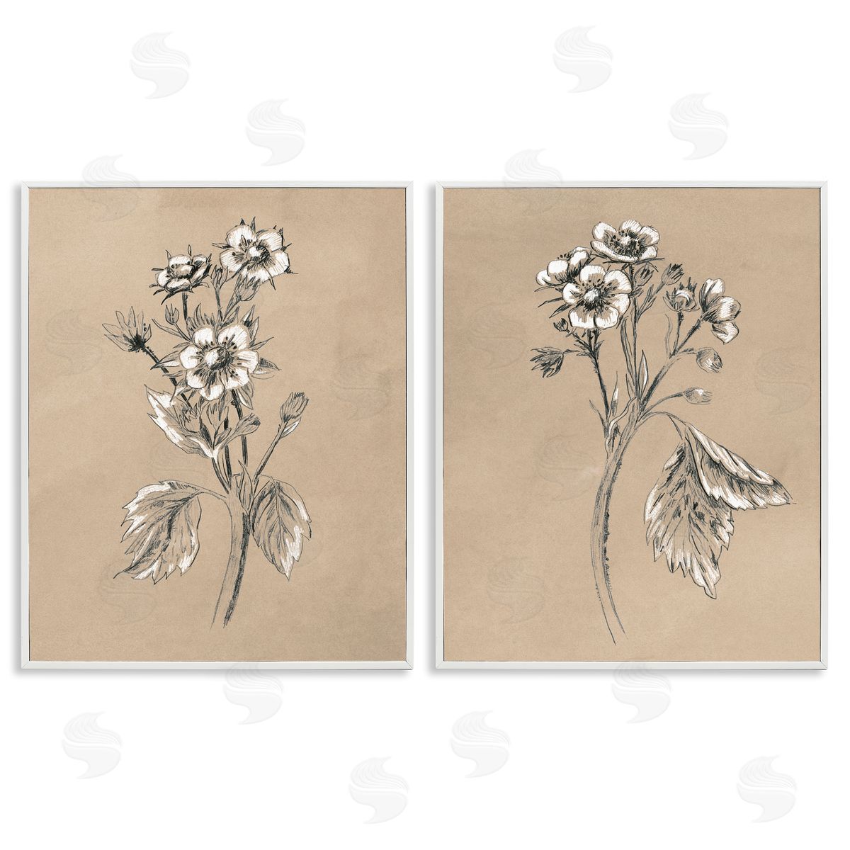 June Erica Vess Vintage Sketch Botanical White Framed Giclee Wall Art Print