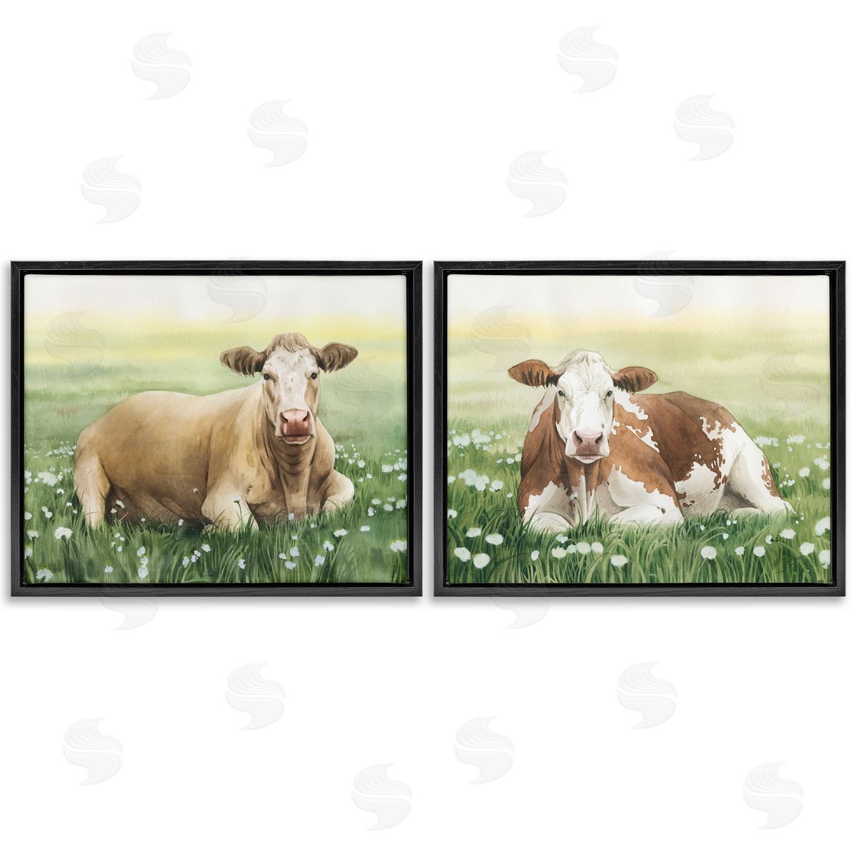 Grace Popp Cows Resting in Flower Field Black Floating Frame Canvas Wall Art Print