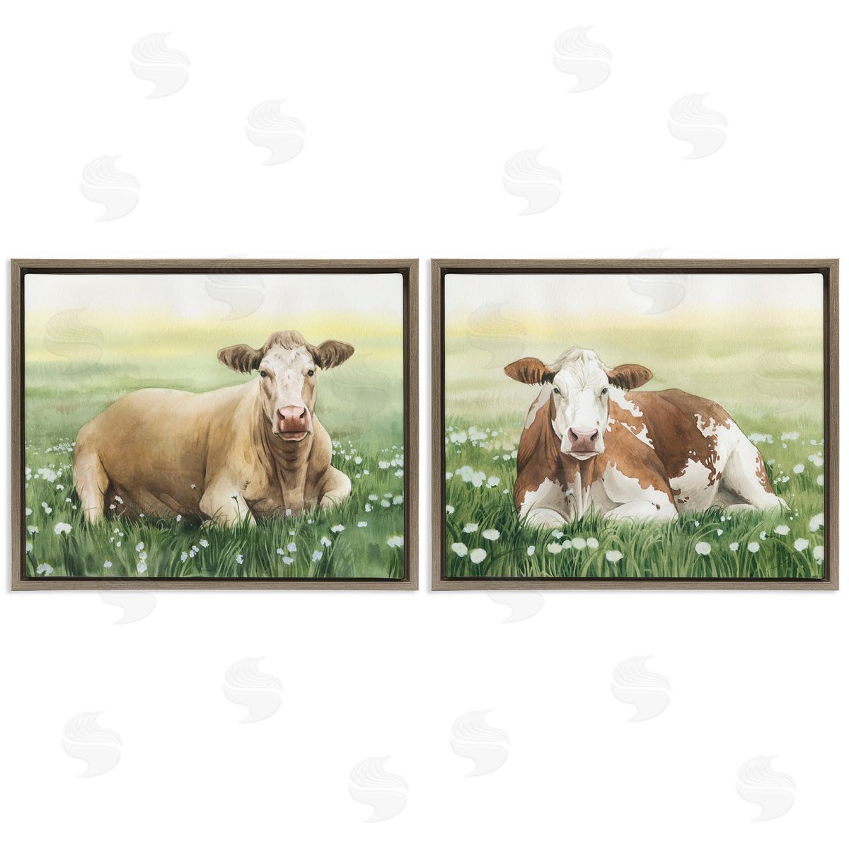 Grace Popp Cows Resting in Flower Field Brown Floating Frame Canvas Wall Art Print