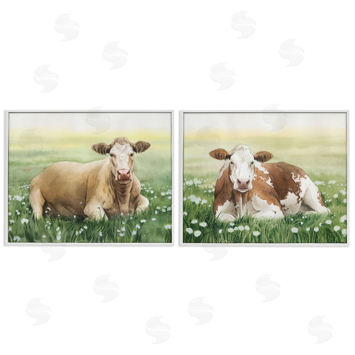 Grace Popp Cows Resting in Flower Field White Framed Giclee Wall Art Print