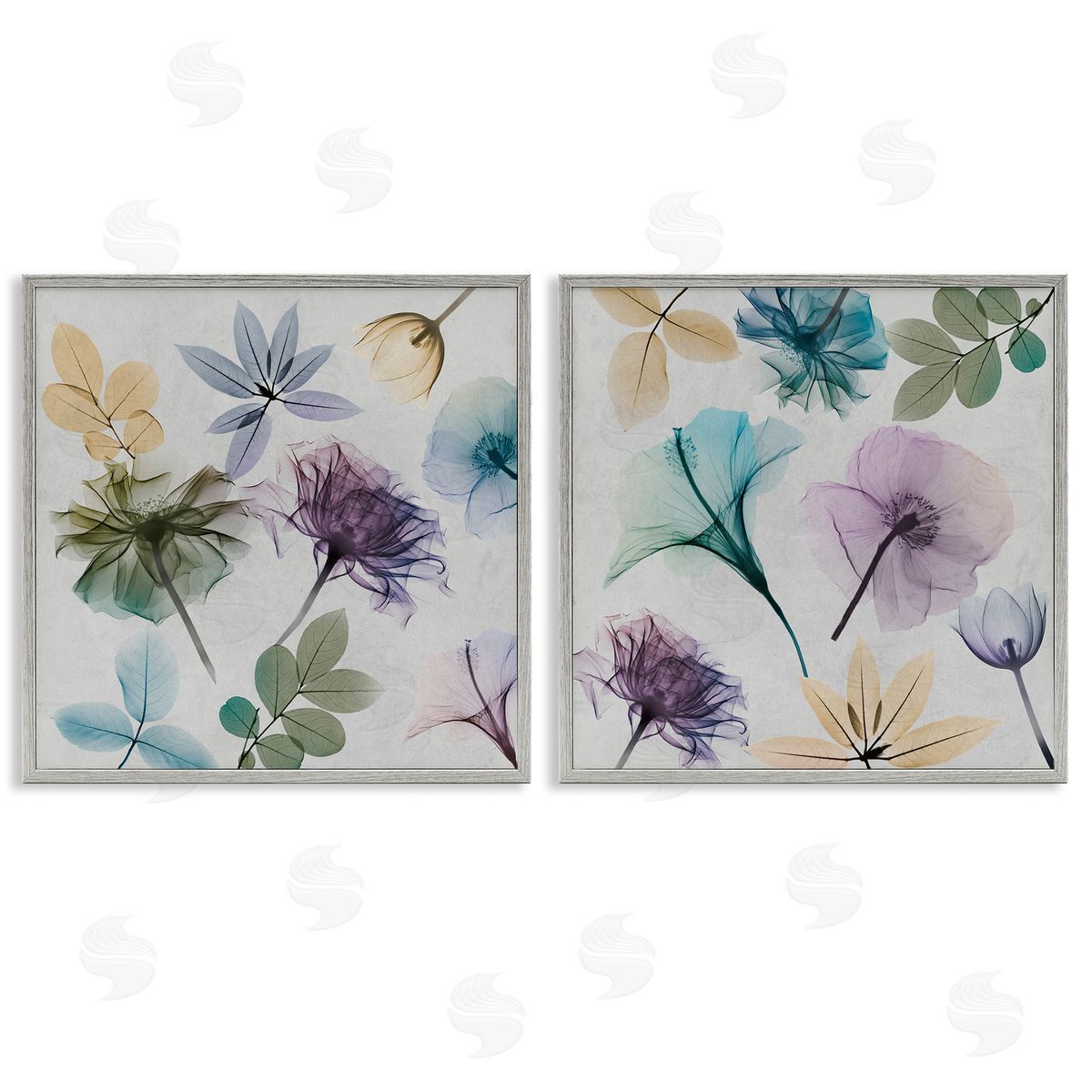 Albert Koetsier X-Ray Floral Collage Gray Framed Giclee Wall Art Print