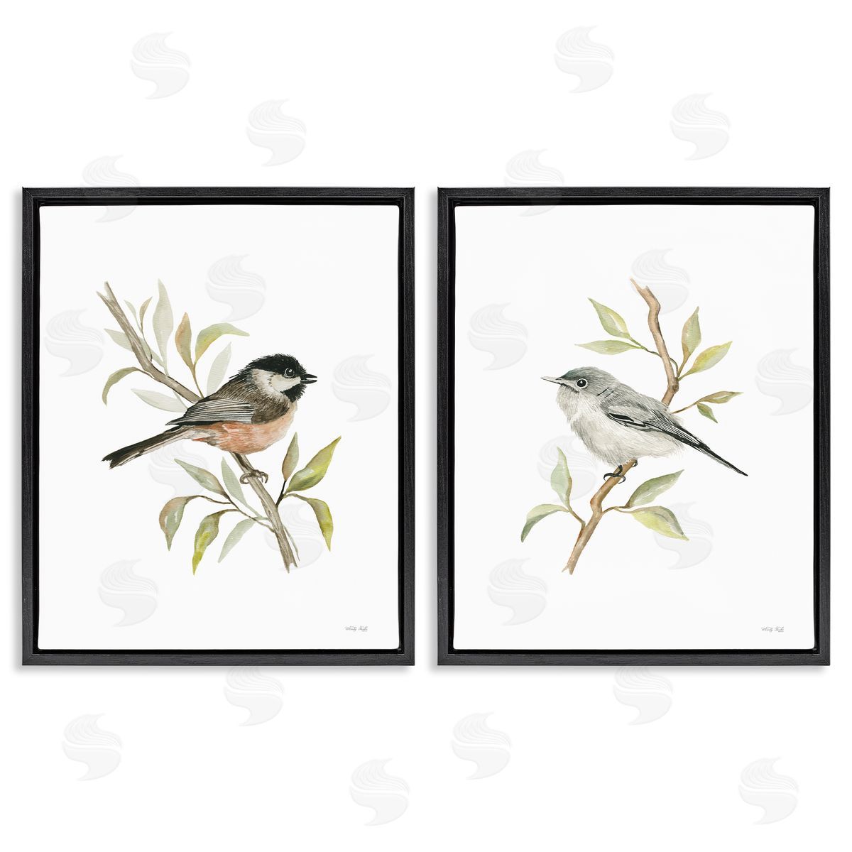 Cindy Jacobs Small Birds on Branches Black Floating Frame Canvas Wall Art Print