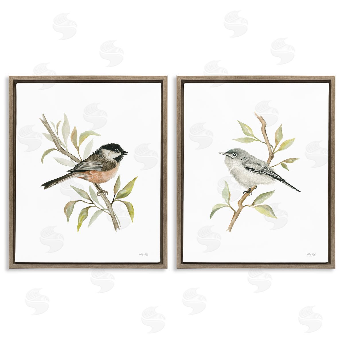 Cindy Jacobs Small Birds on Branches Brown Floating Frame Canvas Wall Art Print
