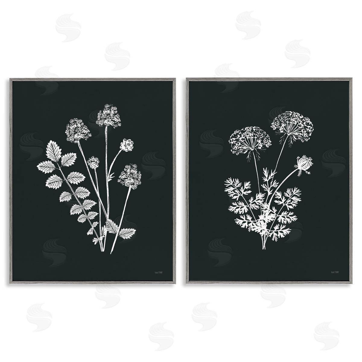 House Fenway Black and White Flower Cluster  Gray Framed Giclee Wall Art Print